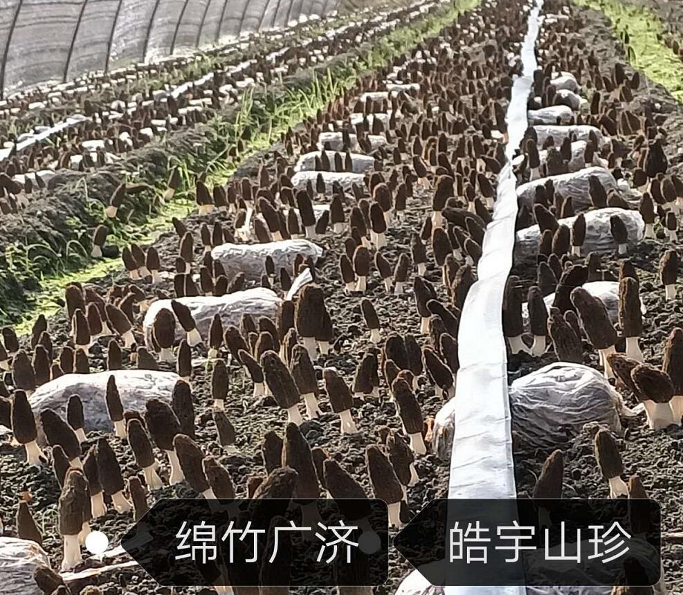 &#107;&#97;&#105;&#121;&#117;&#110;&#20307;&#32946;&#23448;&#26041;&#32593;&#31449;&#20840;&#31449;&#20837;&#21475;&#40;&#107;&#97;&#105;&#121;&#117;&#110;&#41;&#40;&#20013;&#22269;&#41;&#23448;&#32593;&#20837;&#21475;&#30331;&#24405;