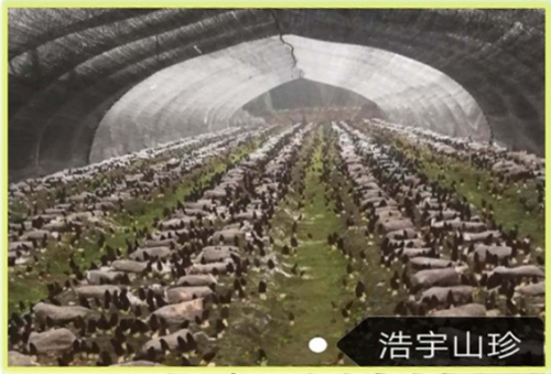 &#107;&#97;&#105;&#121;&#117;&#110;&#20307;&#32946;&#23448;&#26041;&#32593;&#31449;&#20840;&#31449;&#20837;&#21475;&#40;&#107;&#97;&#105;&#121;&#117;&#110;&#41;&#40;&#20013;&#22269;&#41;&#23448;&#32593;&#20837;&#21475;&#30331;&#24405;